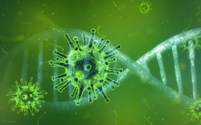 Rückerstattung zurückgezahlter Corona-Soforthilfen in BaWü